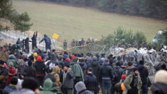 Migrants : la Pologne va construire en décembre un mur à la frontière avec le Bélarus