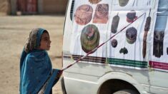 « Côté blanc, je peux jouer »: après la guerre, un village afghan à l’heure du déminage