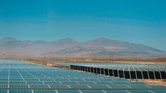 Accord entre la Syrie et les Emirats pour la construction d’une centrale photovoltaïque