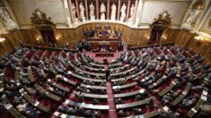 Indemnité inflation de 100 euros : le Sénat rétoque la mesure du gouvernement au profit d’aides « mieux ciblées »