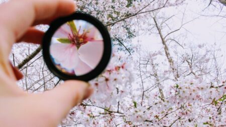 La « productivité haïku » : quand les limites permettent d’accroître sa concentration