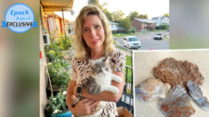 Survivant à une tumeur cérébrale, elle fait une bonne action en aidant une fillette à vendre des pierres pour payer la nourriture de son chat