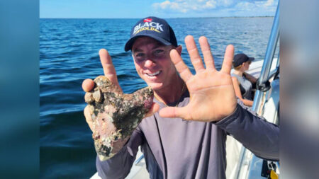 Un plongeur trouve une énorme dent de Megalodon de 15 cm, vieille de plus de 20 millions d’années, au large de la Floride