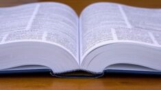 Le dictionnaire Le Robert défend l’ajout du pronom « iel » dans son édition en ligne