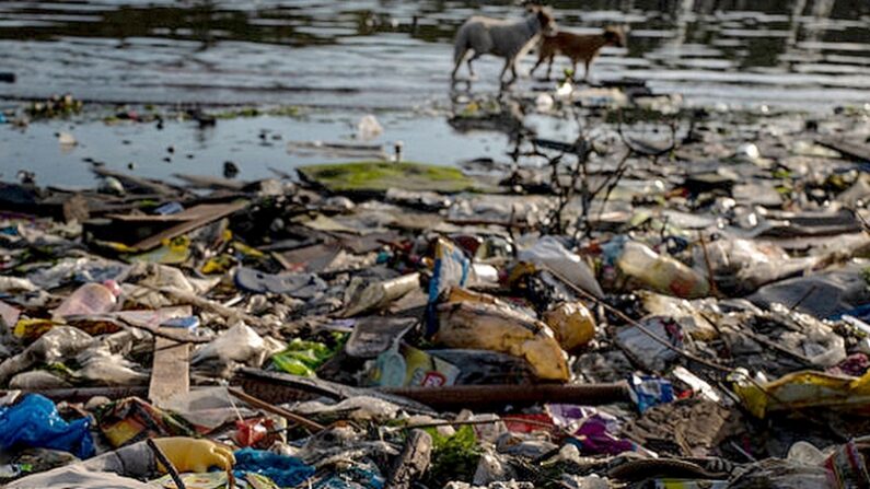 Les déchets plastiques remplissent une plage. (Photo by Jes Aznar/Getty Images)