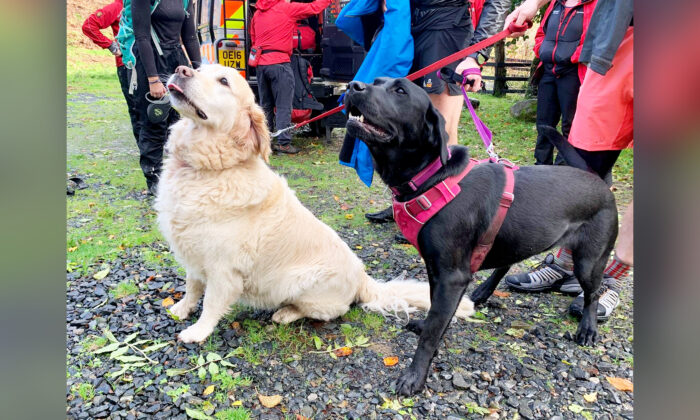 (Avec l'aimable autorisation de l'équipe de sauvetage en montagne de Keswick)