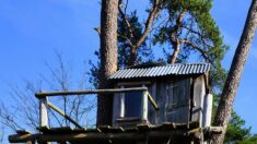 Doubs : la cabane suspendue dans les arbres de Xavier Marmier doit finalement être démontée