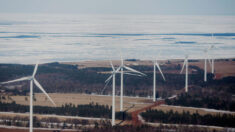 Les énergies renouvelables, des coûts exorbitants pour les Canadiens, une réduction de l’empreinte carbone contestable
