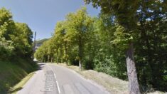 Ariège : 24 marronniers centenaires vont être abattus pour créer une liaison piétonnière au Mas-d’Azil