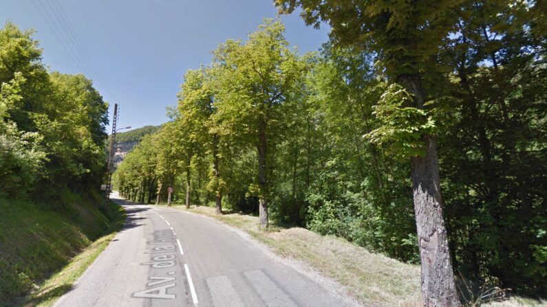 Cette rangée de marronniers centenaires est menacée d'abattage au Mas-d'Azil (Ariège). (Capture d'écran/Google Maps)