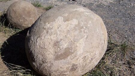 Qualifiée d’agate depuis 140 ans, cette pierre se révèle être un œuf de dinosaure