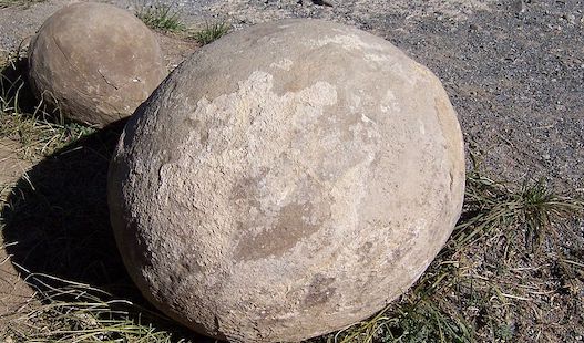 Un œuf de dinosaure fossilisé.(Photo : crédit Wikimédia/ Bouette)
