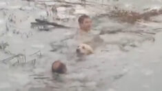 [Vidéo] Deux policiers espagnols sauvent un chien tombé dans un étang gelé