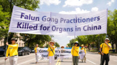 Les députés européens estiment que Pékin doit stopper les prélèvements forcés d’organes