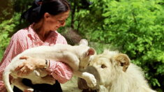Zoo de Beauval : sa fondatrice, Françoise Delord, est décédée, laissant « une empreinte d’une valeur inestimable »