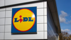 Pulls de Noël de Lidl : en rupture de stock en Belgique, ils sont revendus 3 à 4 fois plus cher sur Internet