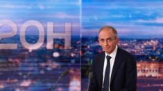 Eric Zemmour au 20H de TF1 : son interview a rassemblé 7,3 millions de téléspectateurs