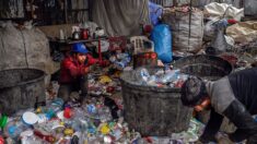 Le crépuscule des chiffonniers d’Istanbul, experts en recyclage