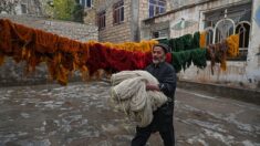 En Afghanistan, tisser des tapis pour tenter d’échapper au chômage et à la crise