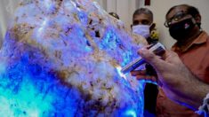 Sri Lanka : le plus gros saphir du monde, pesant 310 kg, vient d’être exposé au public