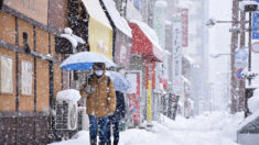 Une partie du Japon perturbée par les chutes de neige