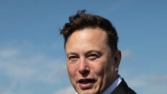 Le rachat de Twitter par Elon Musk menace la liberté de la presse, selon la FIJ