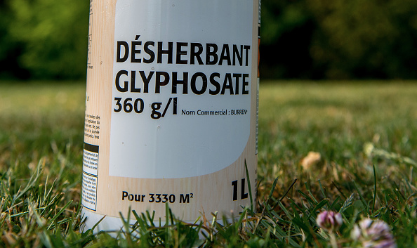 Le glyphosate est un désherbant qui a une forte emprunte environnementale. (PHILIPPE HUGUEN/AFP via Getty Images)