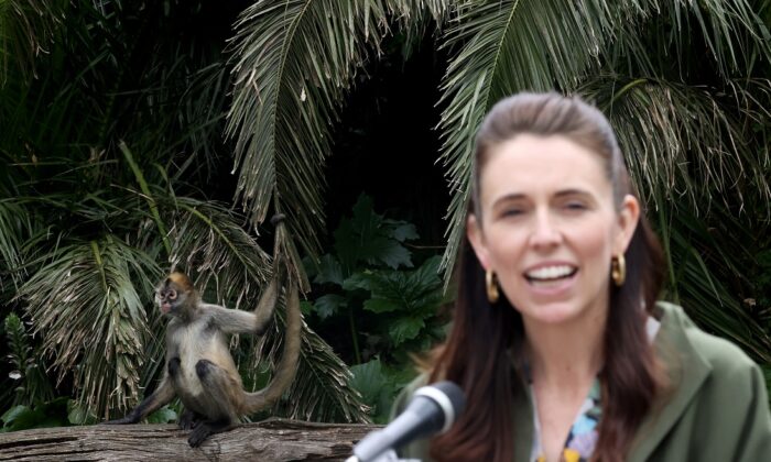 La Première ministre néo-zélandaise Jacinda Ardern pend la parole à côté de l'enclos des singes-araignées au zoo d'Auckland, en Nouvelle-Zélande, le 1er décembre 2021. (Phil Walter/Getty Images)