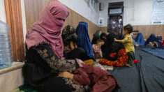 Les talibans interdisent aux femmes de voyager sans être accompagnées