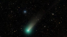 La comète verte super-lumineuse « Leonard » sera à son point culminant juste avant Noël