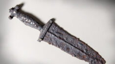 Un détectoriste amateur trouve une dague romaine vieille de 2.000 ans provenant d’une ancienne bataille en Suisse