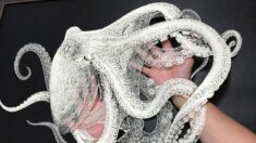 Une étonnante artiste japonaise découpe à la main une pieuvre en trois dimensions à partir d’une seule feuille de papier