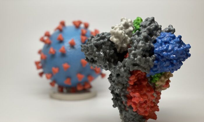 Impression 3D d'une protéine de pointe du SRAS-CoV-2 - le virus responsable du Covid-19 - devant une impression 3D d'une particule virale du SRAS-CoV-2. (Avec l'aimable autorisation du NIAID/RML)