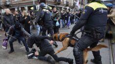 La police déploie ses chiens sur les manifestants mobilisés contre le confinement à Amsterdam