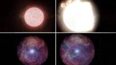 [VIDÉO] Des astronomes observent pour la première fois l’explosion d’une supergéante rouge 10 fois plus massive que notre Soleil