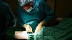 États-Unis : des chirurgiens américains ont greffé avec succès le cœur d’un porc sur un homme de 57 ans