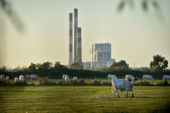 La centrale thermique EDF de Cordemais, dans l'ouest de la France. (LOIC VENANCE/AFP via Getty Images)