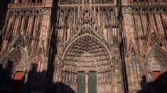 Strasbourg : Brice Bauer, celui qui jouait du violoncelle sur le parvis de la cathédrale « par tous les temps », n’est plus