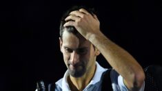 Open d’Australie 2022 : expulsé, le numéro 1 mondial Novak Djokovic rentre chez lui