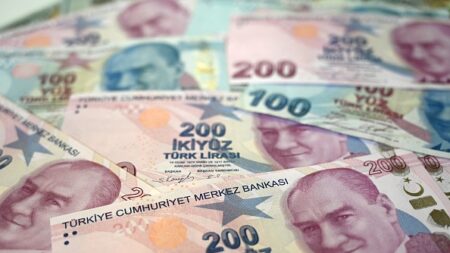 L’effondrement de la livre turque au nom de « l’indépendance économique »