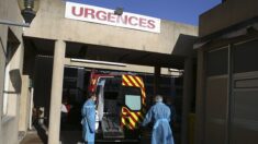 Covid en Corse : baisse du nombre de patients en réanimation, même si la circulation du virus reste importante