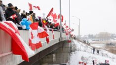 Liberté d’expression et liberté individuelle au cœur des préoccupations des Canadiens, révèle un nouveau sondage