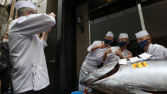 Un thon vendu aux enchères pour 129.000 euros à Tokyo