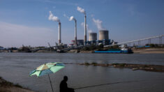 Une centrale électrique « verte » mise à l’arrêt au Xinjiang à cause de ses rejets polluants