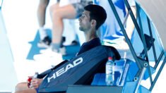 Open d’Australie 2022 : Novak Djokovic admet avoir commis des « erreurs »