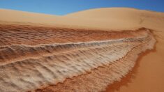 Sahara : il a neigé sur les dunes de sable du grand désert