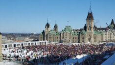 Vidéo : Énorme mobilisation à Ottawa sur la colline du Parlement à l’arrivée du Convoi pour la liberté initié par les camionneurs