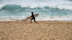 Trois jeunes surfeurs du Pays basque de 11 et 12 ans sauvent une femme de la noyade