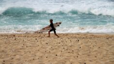 Trois jeunes surfeurs du Pays basque de 11 et 12 ans sauvent une femme de la noyade