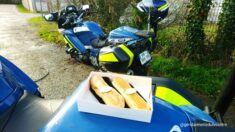 « C’était très bon » : les gendarmes bretons touchés par la gentillesse d’un automobiliste qui leur offre des pâtisseries
